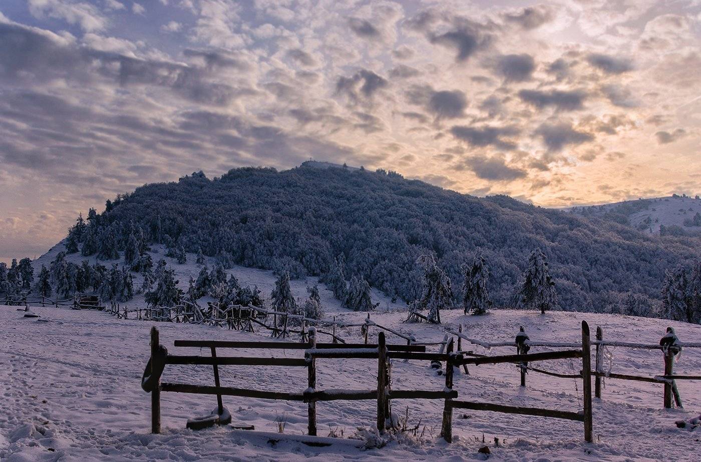 , Игорь Мелекесцев