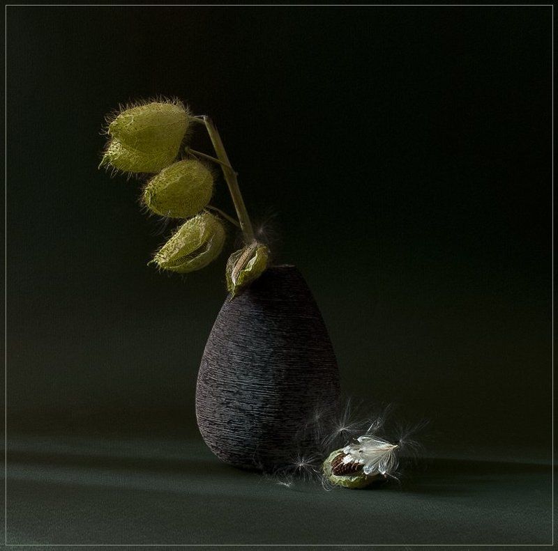 Колючки...photo preview