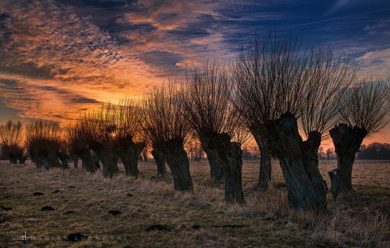 Wierzbyphoto preview