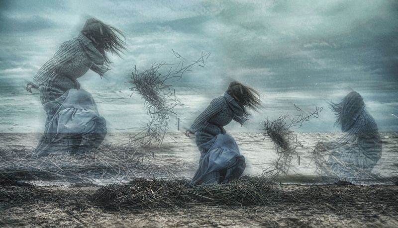 ...madness....photo preview