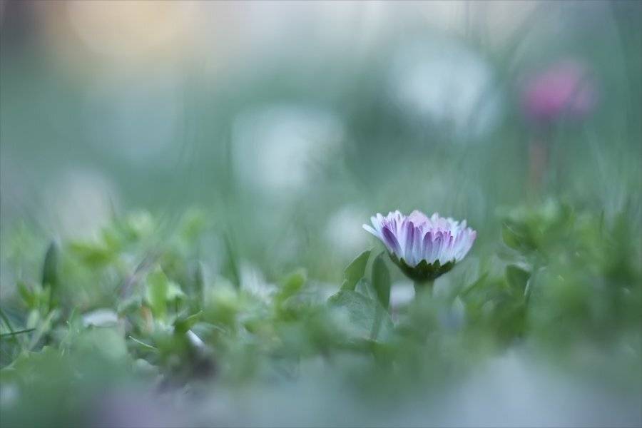 , Наталья Ова