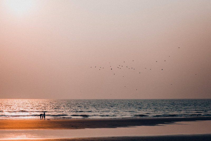 Индийский океан, Семья photo preview