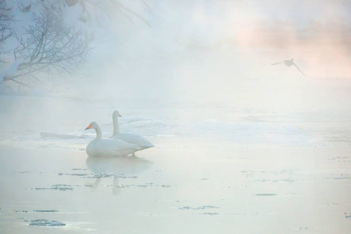 , Денис Будьков