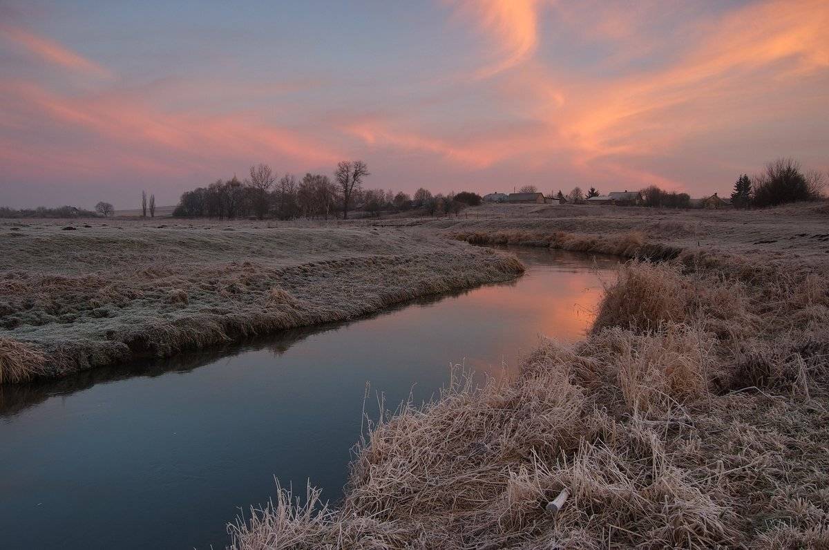 , Николай Шахманцир