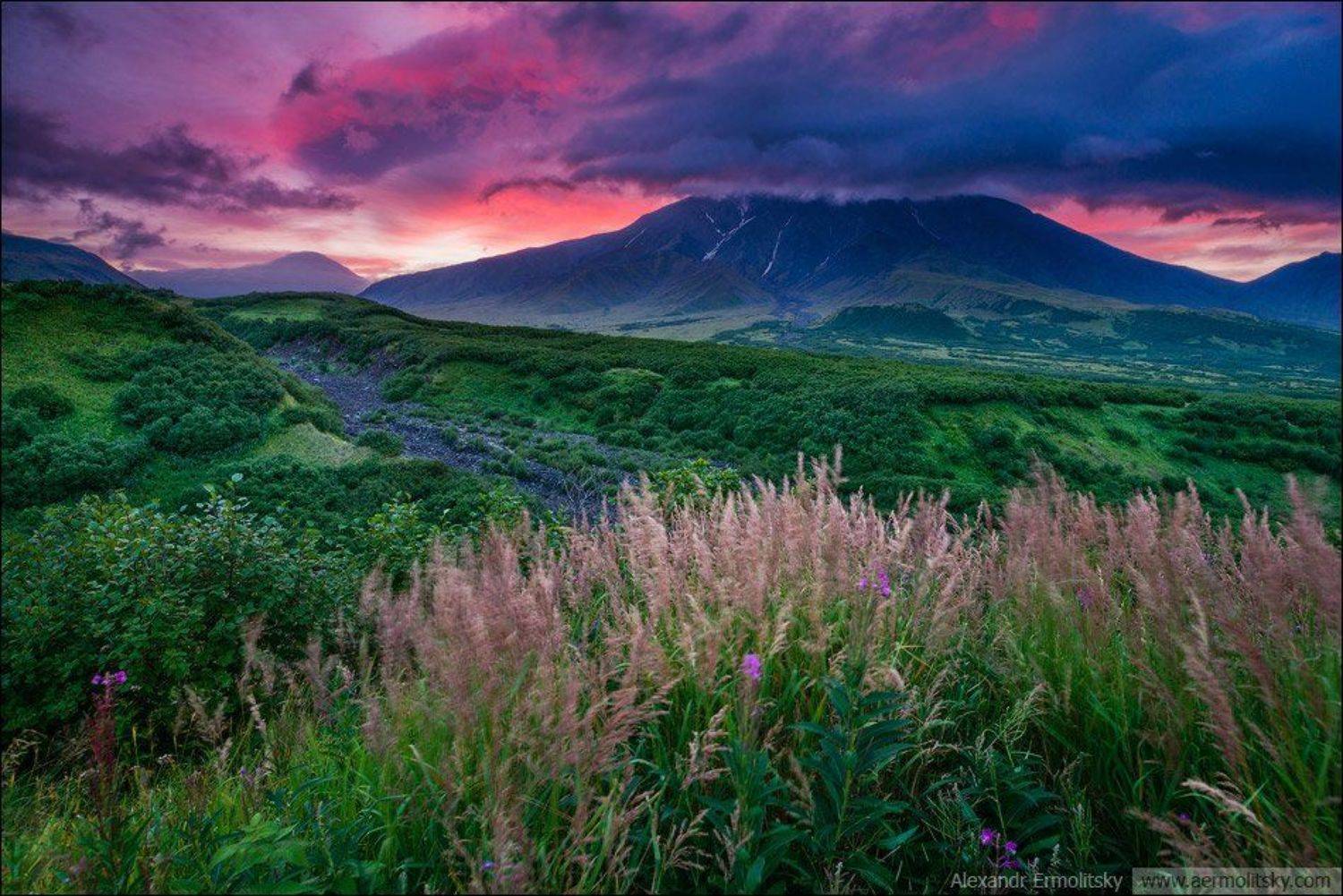 , Александр Ермолицкий