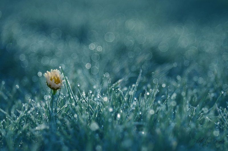 Когда утром, что должно быть.photo preview