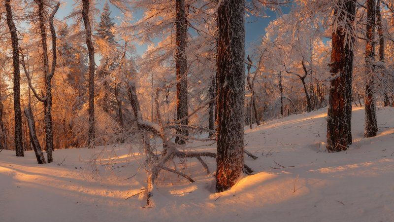тайга, уреньга, южный урал Сказочная тайга фото превью