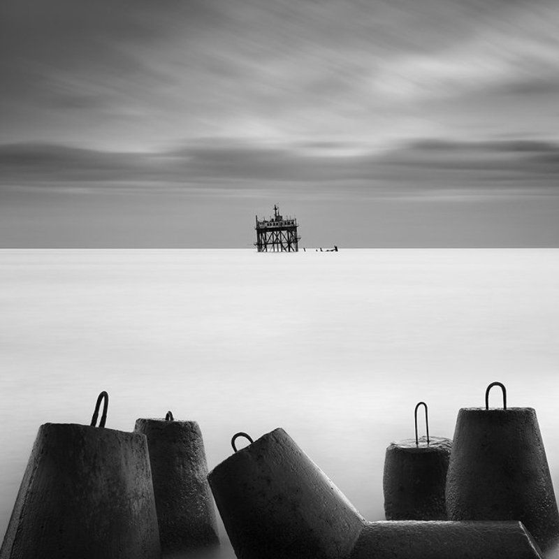 audience The Audiencephoto preview