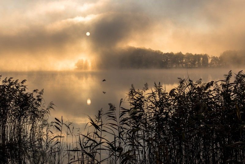 Morning by the lakephoto preview