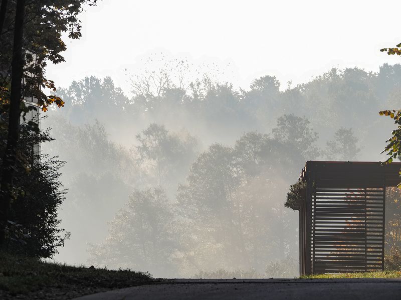 утренние туманыphoto preview