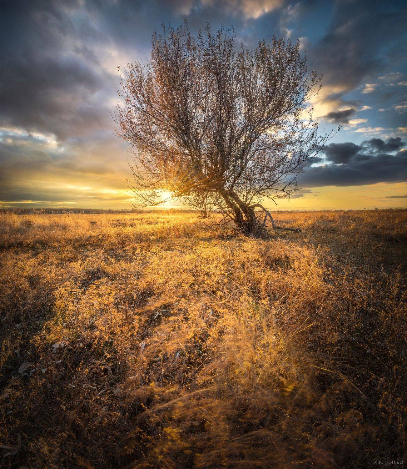 , Влад Епифанов