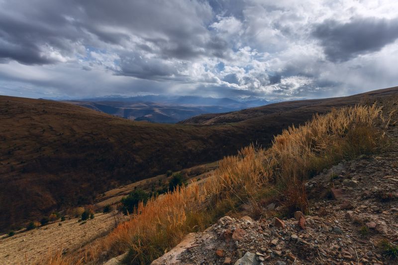 Пейзаж у обочиныphoto preview