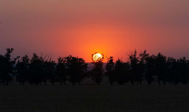 Ловец солнца.photo preview