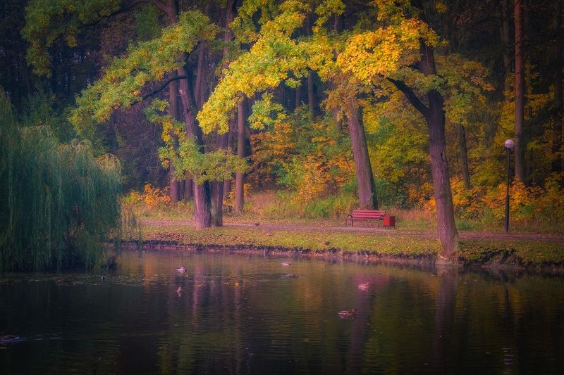 Осень в паркеphoto preview