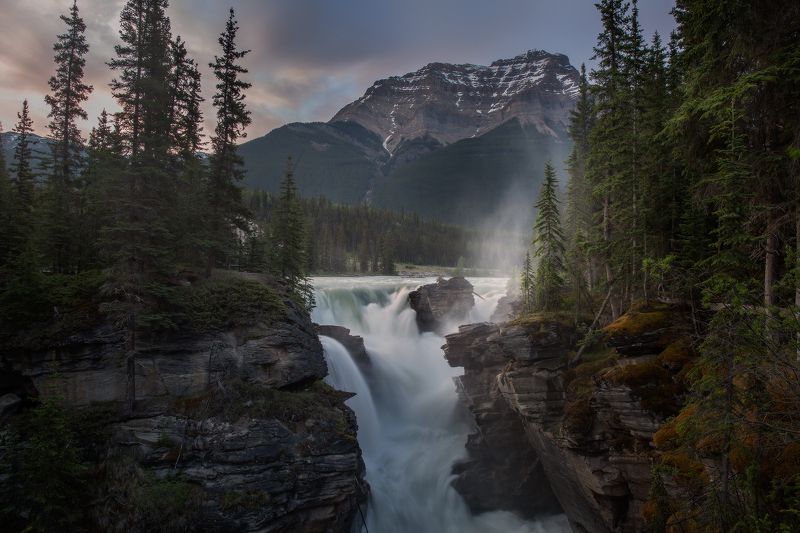 ДЖАСПЕРphoto preview