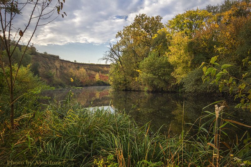 У прудаphoto preview