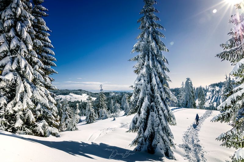 Gorce Mountainsphoto preview