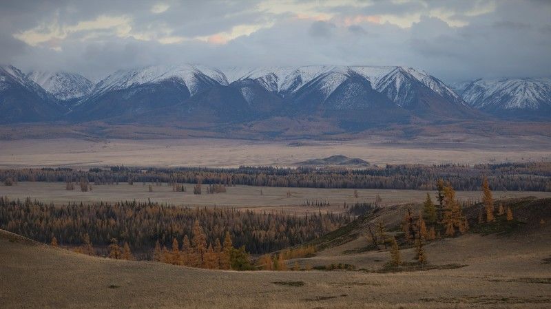 природа,алтай,курайскаястепь,вечер,закат На закате в Курайской степиphoto preview