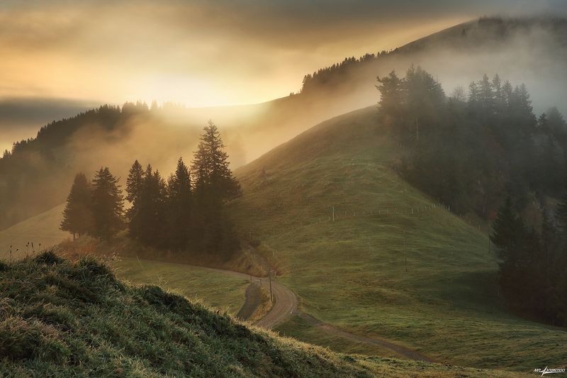 swiss,швейцария,осень,rigi Утро,Дороги...photo preview