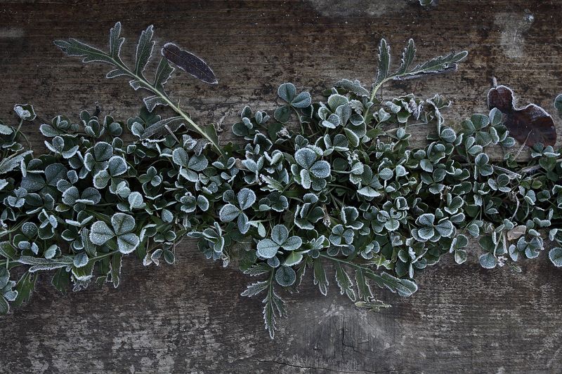 Узоры декабряphoto preview