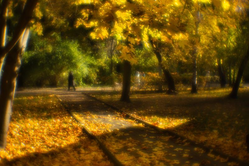 монокль,краски осени, листопад  фото превью
