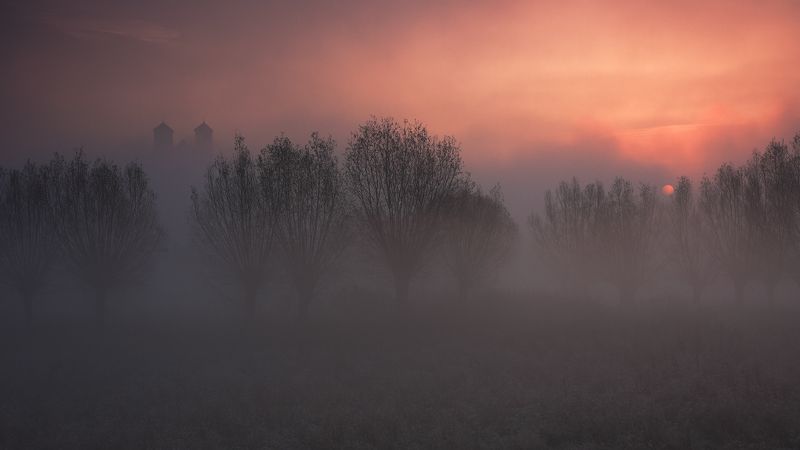 morning, sunrise, mist, mood, tree, willow, monastery, tower, tyniec, sky, sun, Morning...photo preview