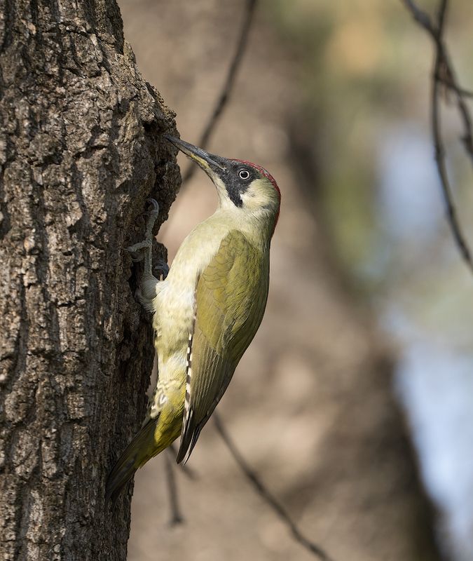 Страшно! Аж жуть ...photo preview