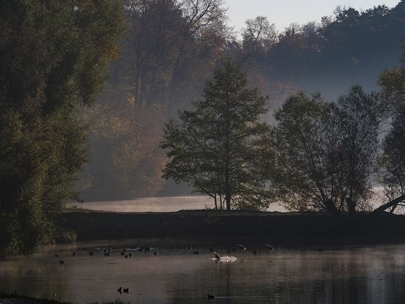 утренние туманы 2photo preview