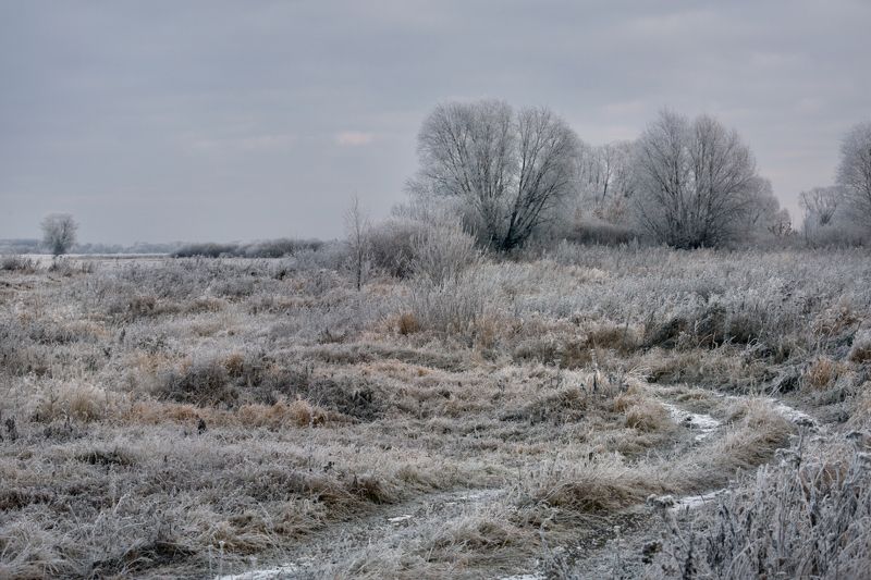 миламиронова, осень, мороз, иней, снег Осеннее утро...photo preview