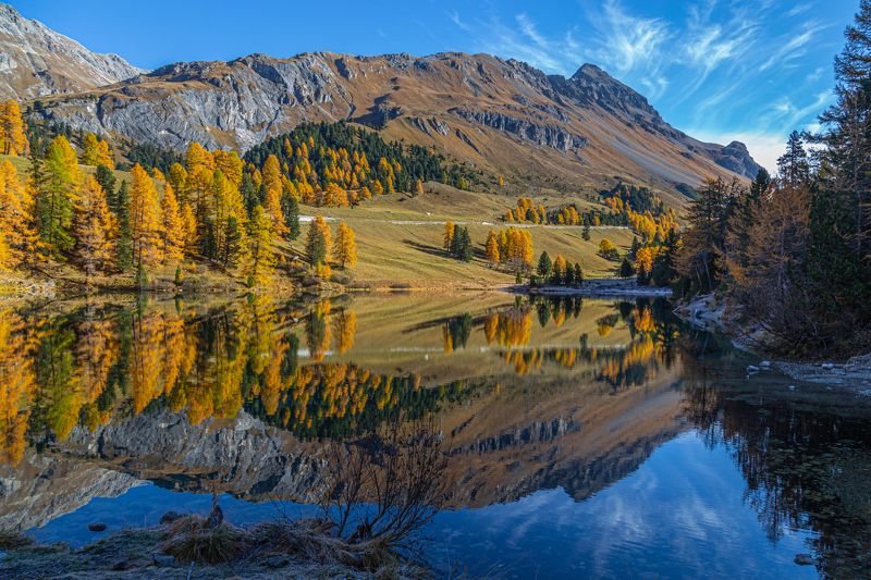 lake, mirror, landscape, nature, mood, switzerland, flora, autumn Lake Palpuognaphoto preview