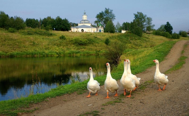 церковь спаса нерукотворного образа, церковь, симеонова тропа, симеон верхотурский, село красногорское верхотурского района, свердловская область На Симеоновой тропе...photo preview