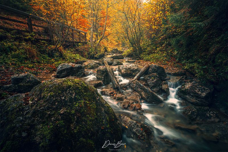 Pieniny Mountains (Homole)photo preview