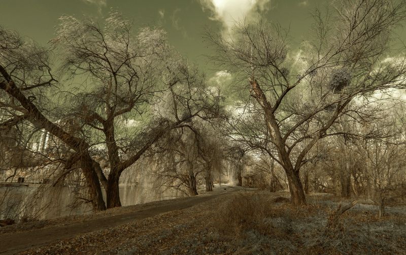 инфракрасный ***photo preview