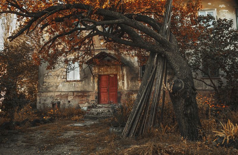 Вечная осеньphoto preview