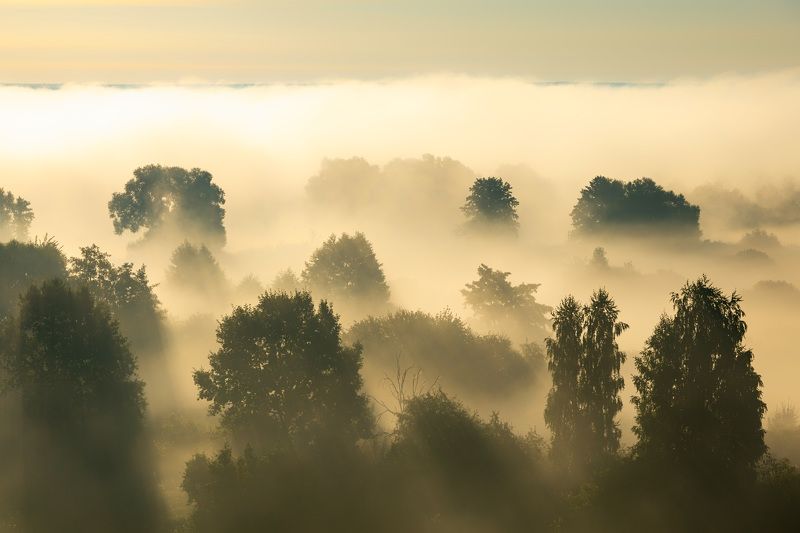 Туман, утро, пейзаж Туманное утроphoto preview