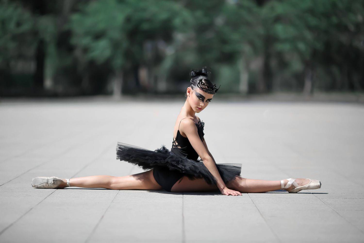 Black swan. Автор: Larisa Korsikova , Larisa Korsikova