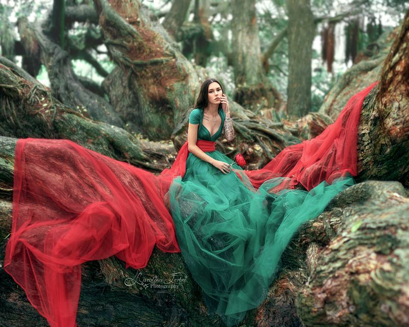 tree, forest, fine art, portrait, художественная фотография, лес, дерево, фея, богиня, девушка, платье, природа, фотосессия, портрет Pohutukawa 1photo preview