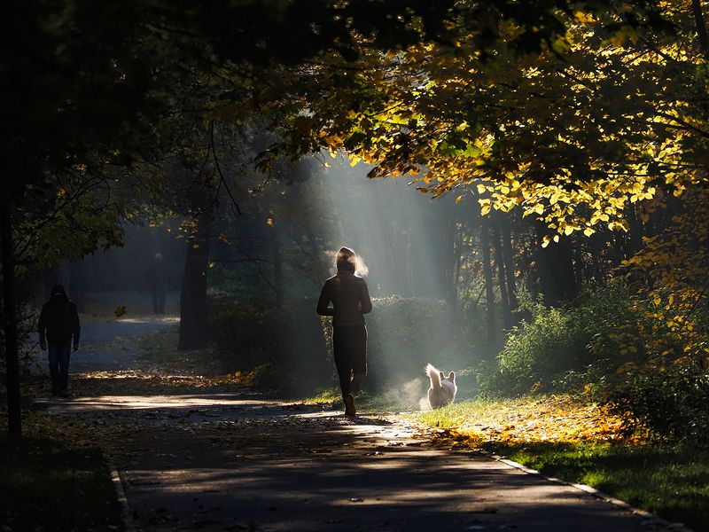 солнечные лучи 2photo preview