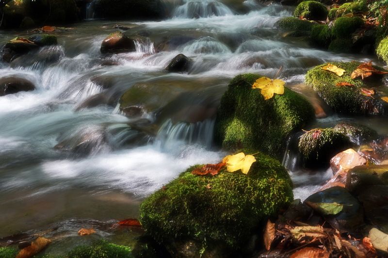 щсень горы ручей. Горный ручей.photo preview