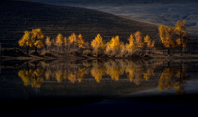 алтай, озеро, отражение, осень, что такое осень?, дерево, вода, зеркало, lake, reflection, autumn, tree, water, mirror, пейзаж, природа, контраст, фототур на алтай, нд, золотой алтай нд, золотой алтай Осенние контрастыphoto preview