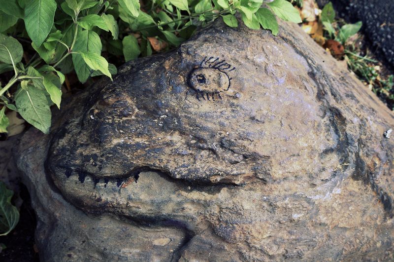 pareidolia ***photo preview