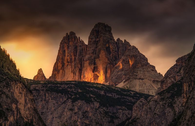 Tree Cimephoto preview