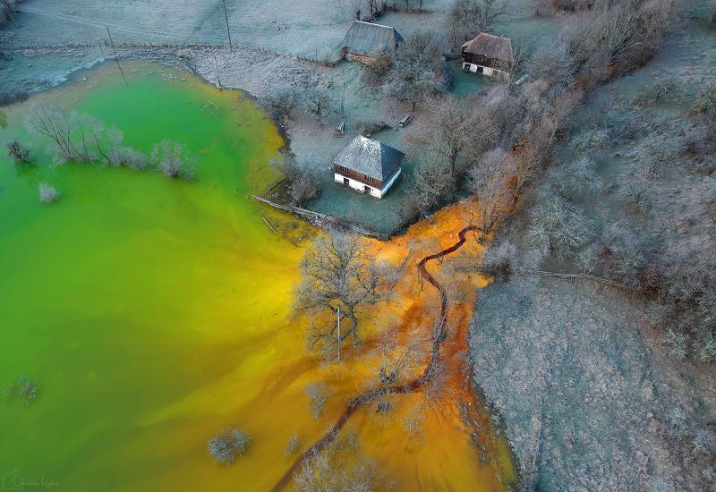 autumn, trees, fog, morning, landscape, travel, nature, mountain, romania, cold, light, lake Living in a toxic Beautyphoto preview