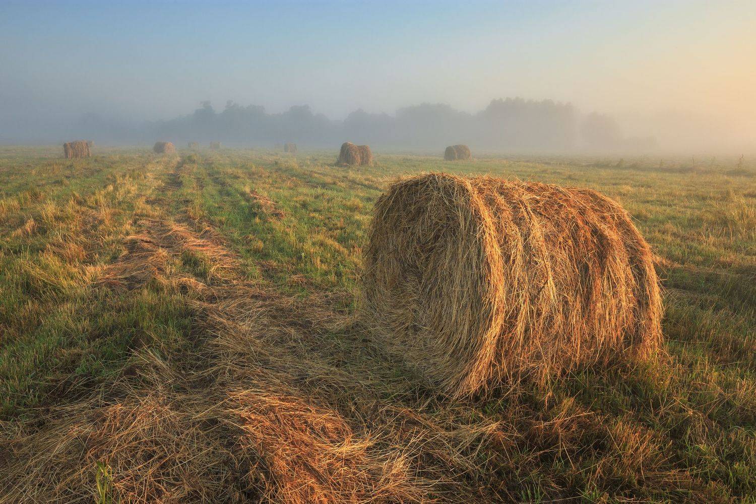 Запах сена и тумана. Автор: Денис Лукьяненко 2021, россия, пейзаж, поле, утро, туман, стог, трава, сено, лес, лето, Денис Лукьяненко