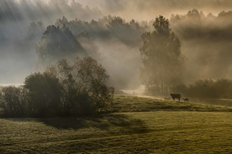 Autumn in the countrysidephoto preview