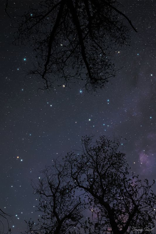 Dream Nightphoto preview