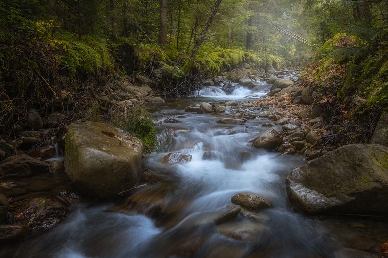 Горный ручейphoto preview