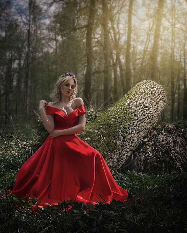 королева лес корона женщина девушка photo preview