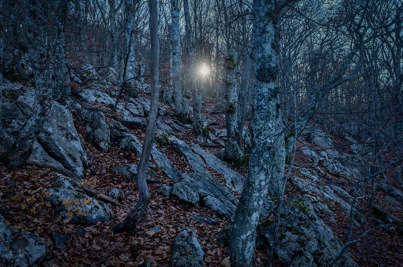 Холодное солнцеphoto preview