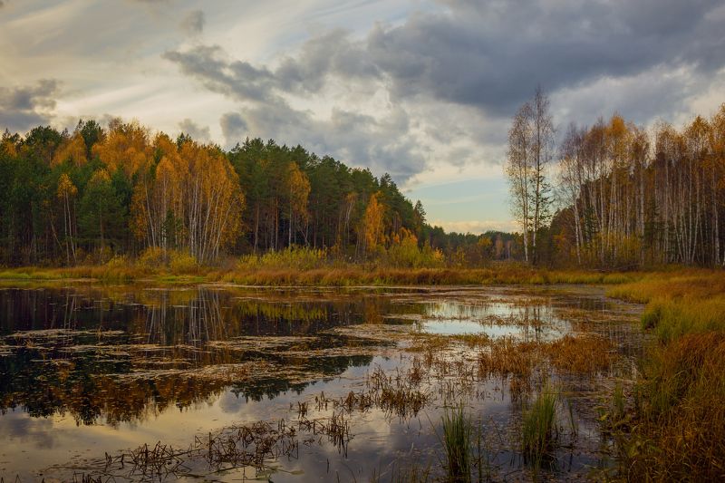 осень октябрь черная порза На исходе осени фото превью